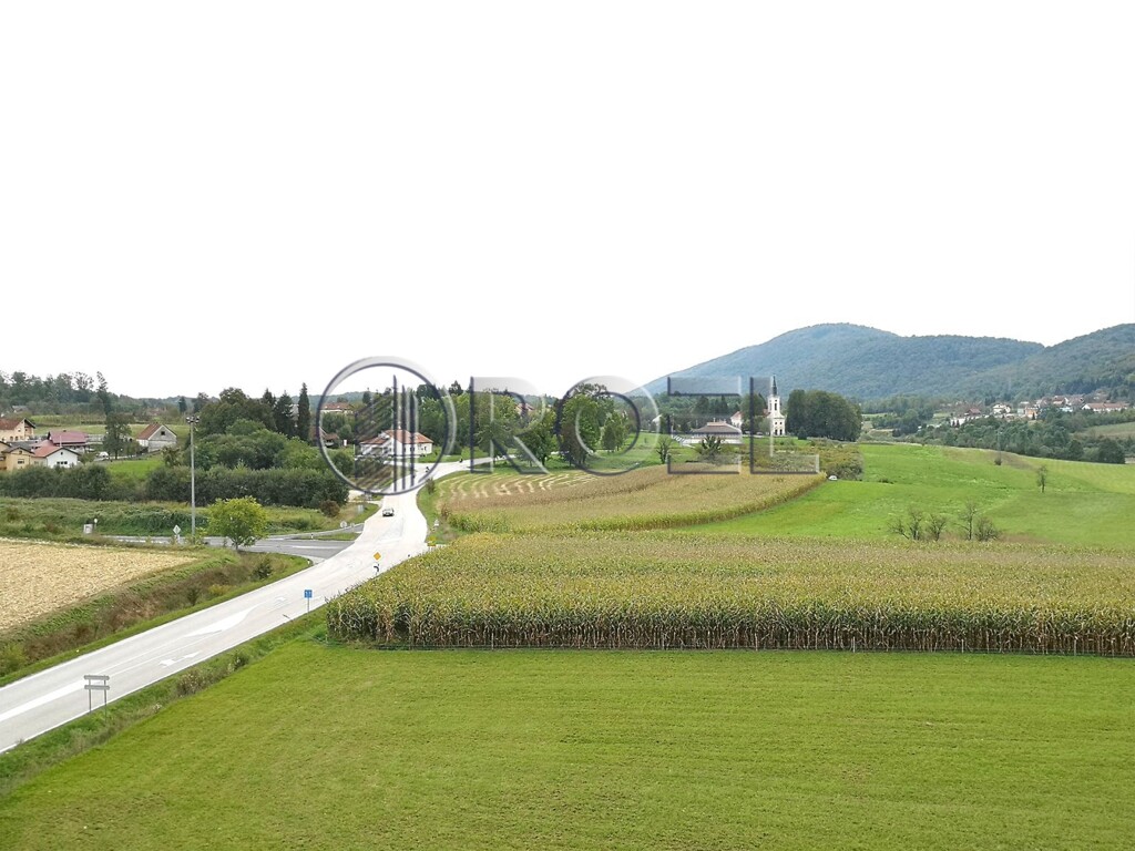 Image 6223008 - 2