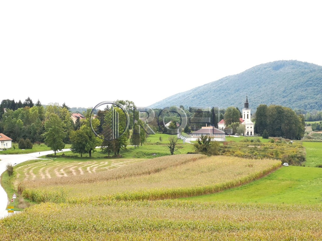Image 6223008 - 1