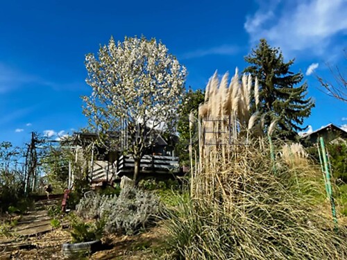 Dvije kuće, Sv. Ivan Zelina, NKP 231 m² + okućnica 3480 m²