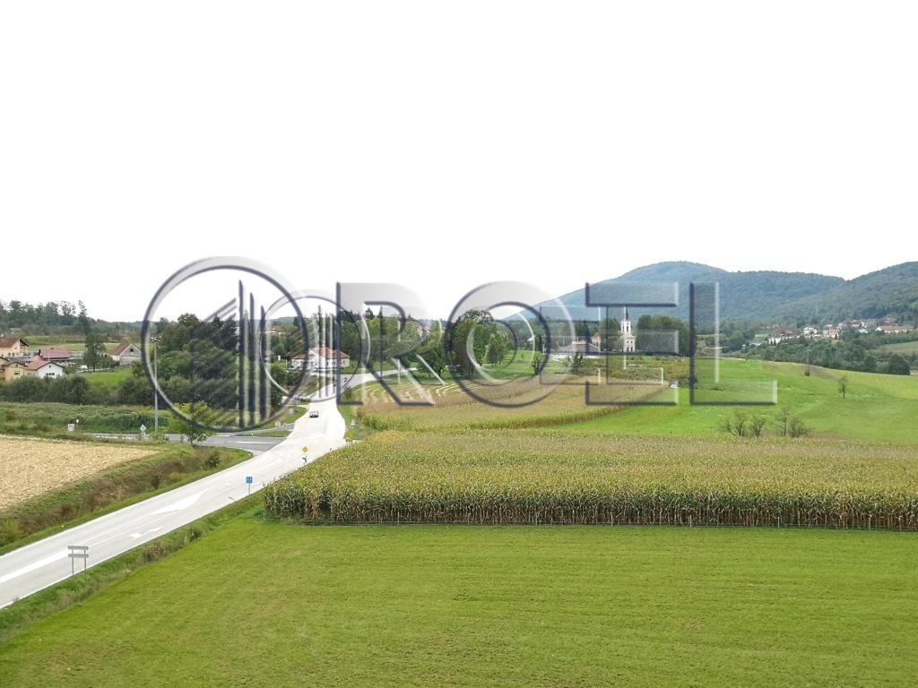 Image 6223047 - 2