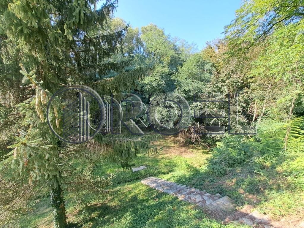Image 6223071 - 13