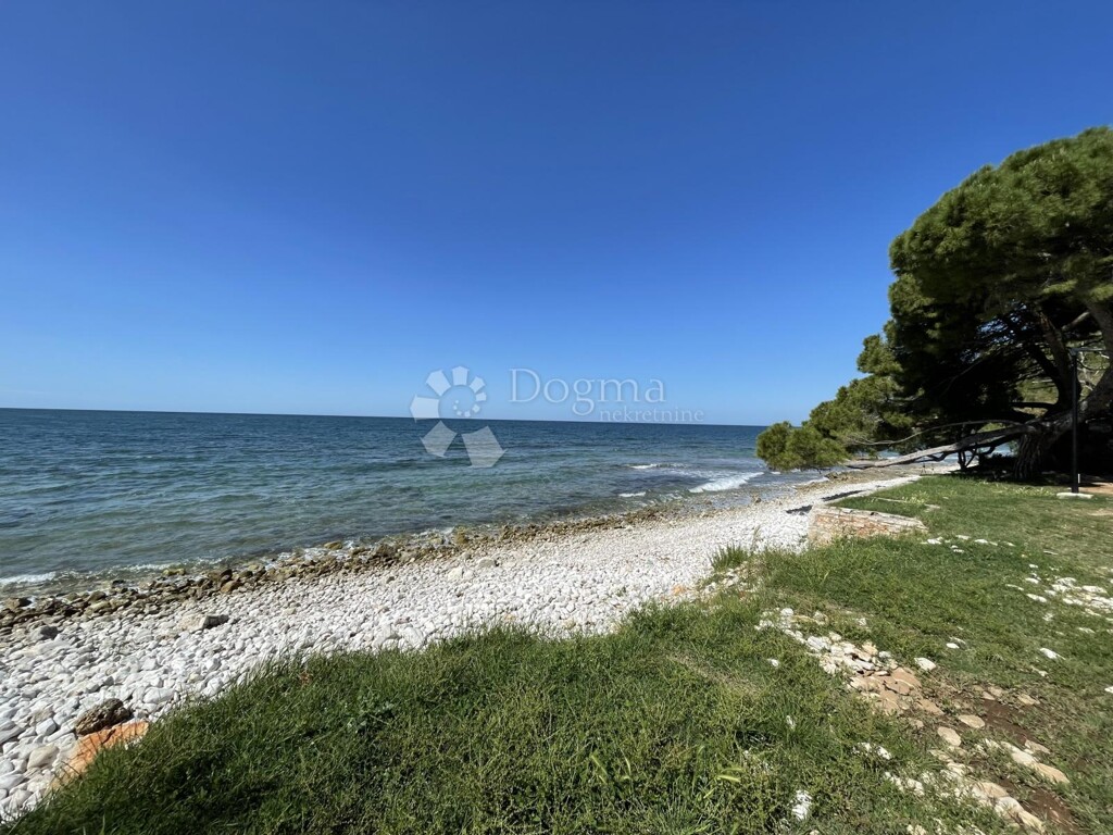 Image 6223258 - 1