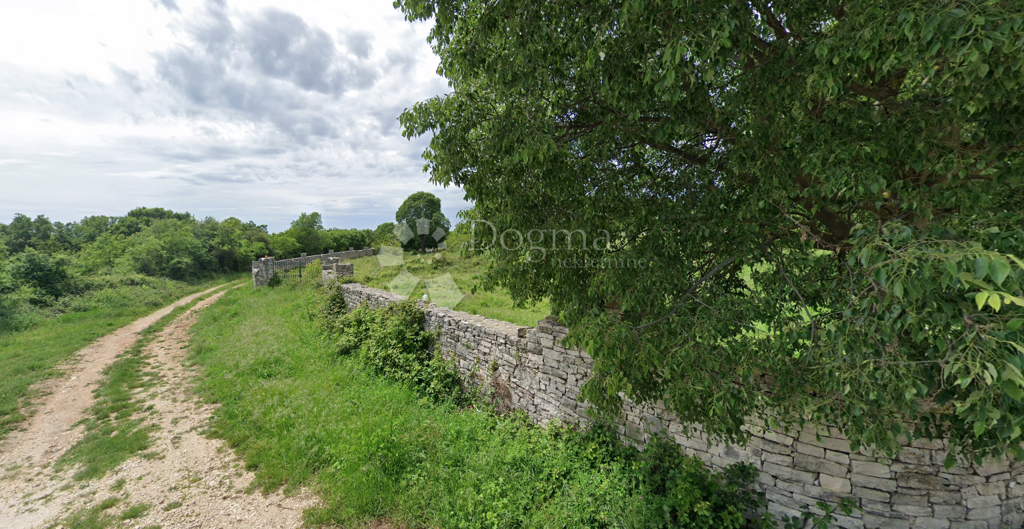 Image 6223263 - 5