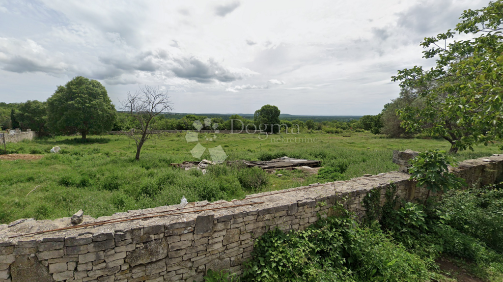 Image 6223263 - 1