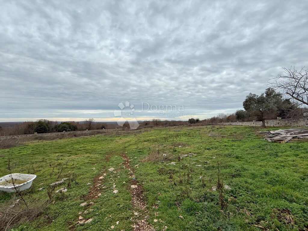 Image 6223263 - 11