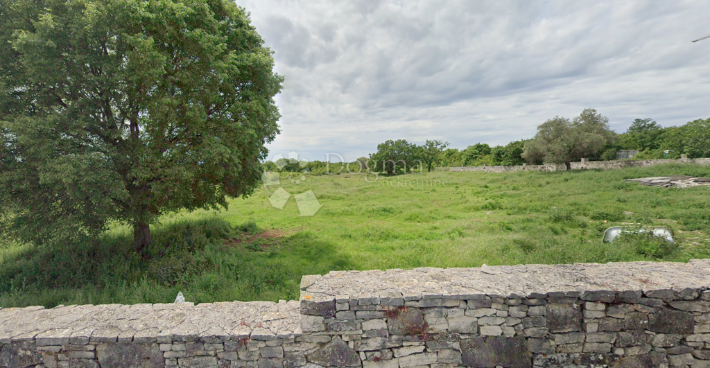 Image 6223263 - 3