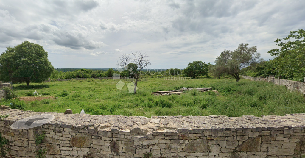 Image 6223263 - 4