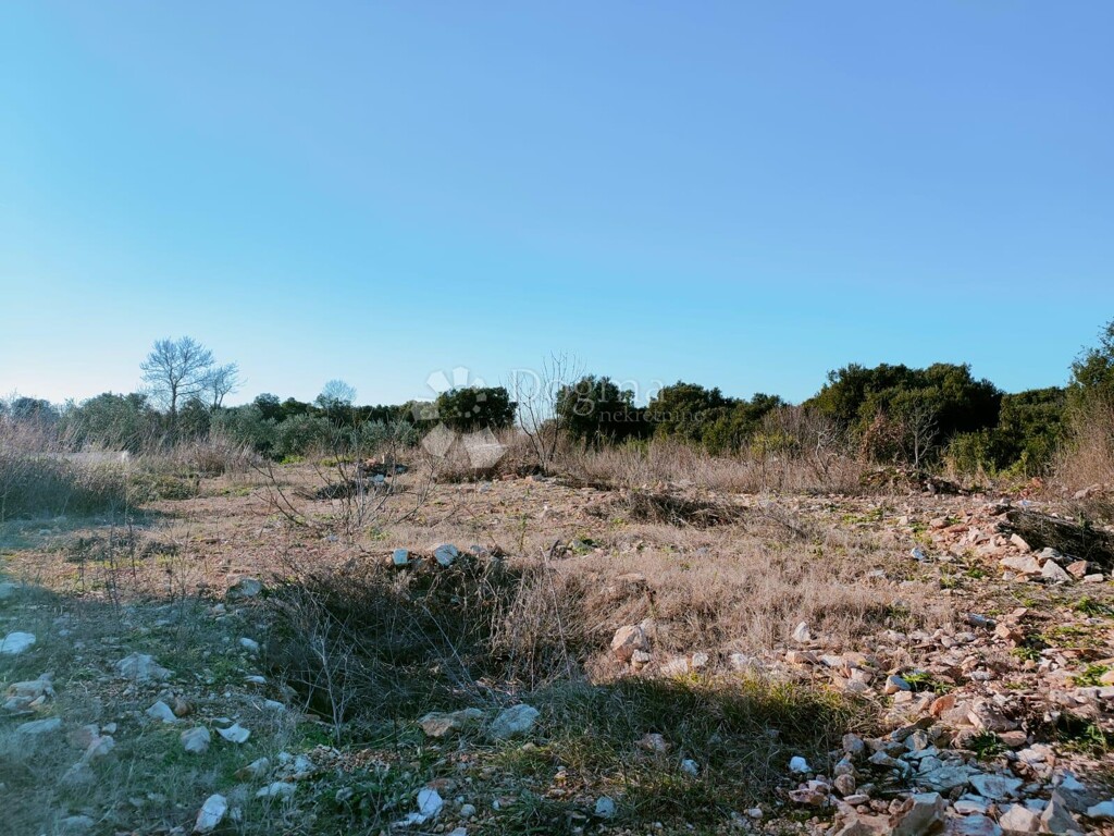 Image 6223269 - 2