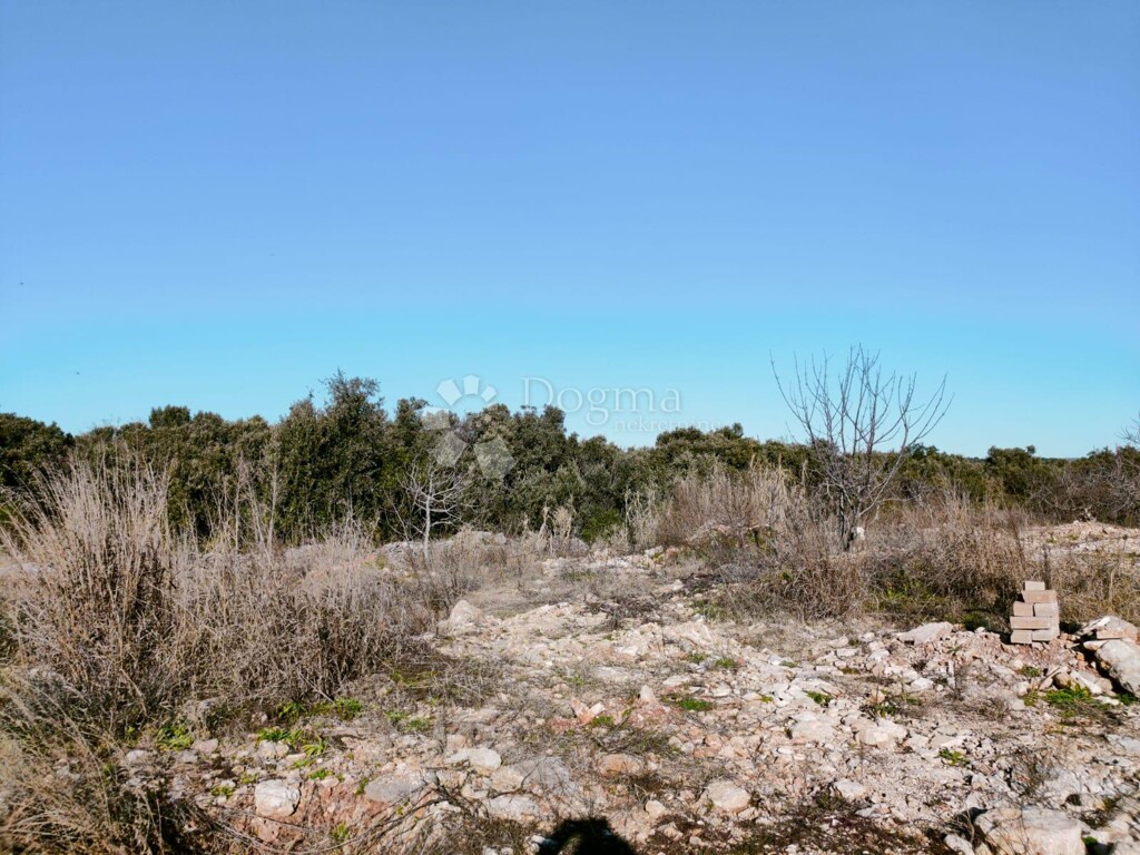 Image 6223269 - 3