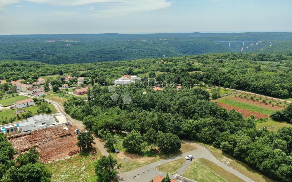 Image 6223273 - 2