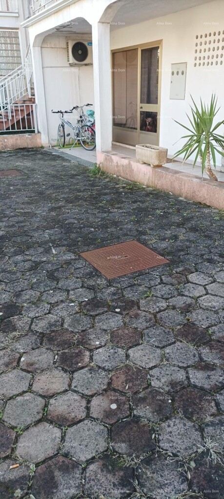 Image 6223357 - 17
