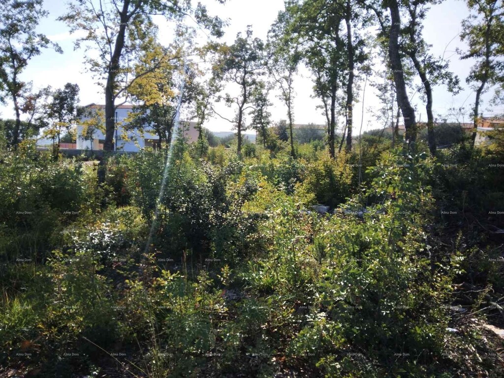 Image 6223375 - 5