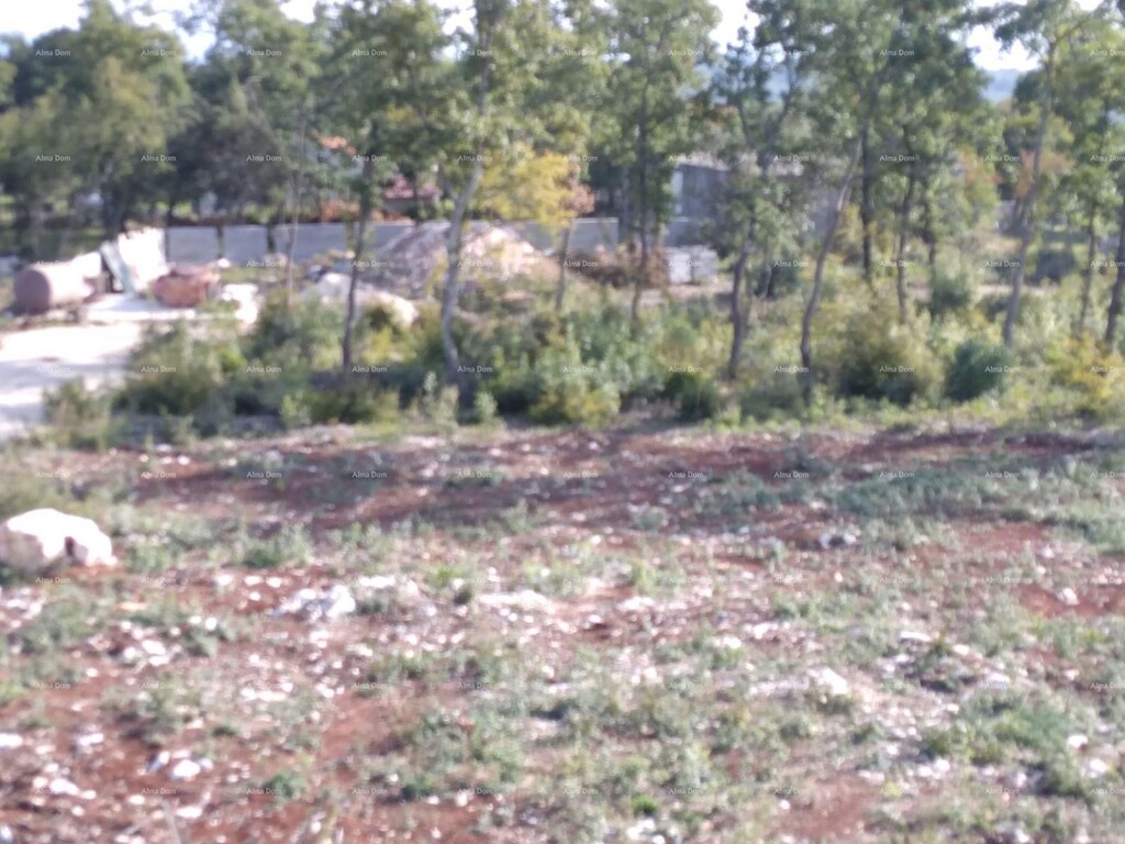 Image 6223375 - 6