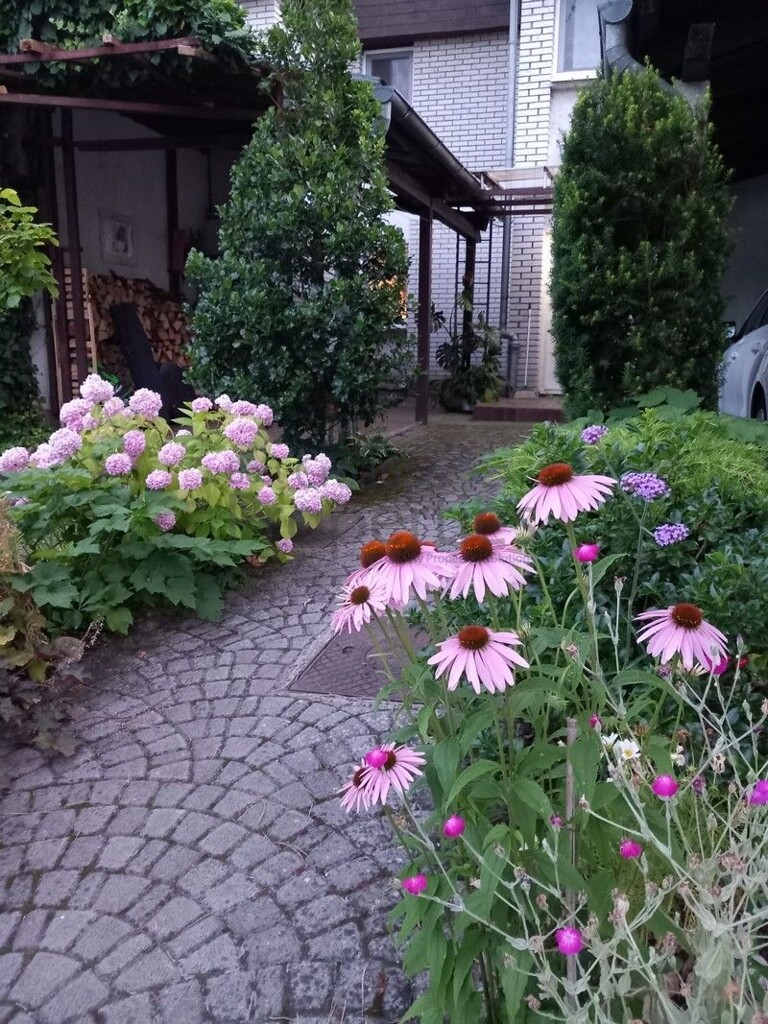 Image 6223414 - 20