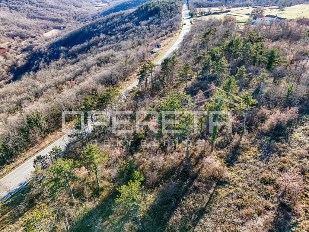 Image 6223448 - 7
