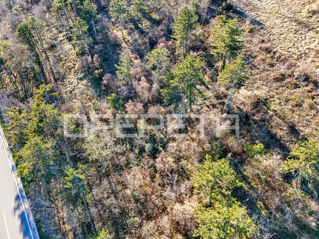 Image 6223448 - 6
