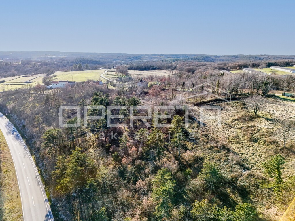 Image 6223448 - 1