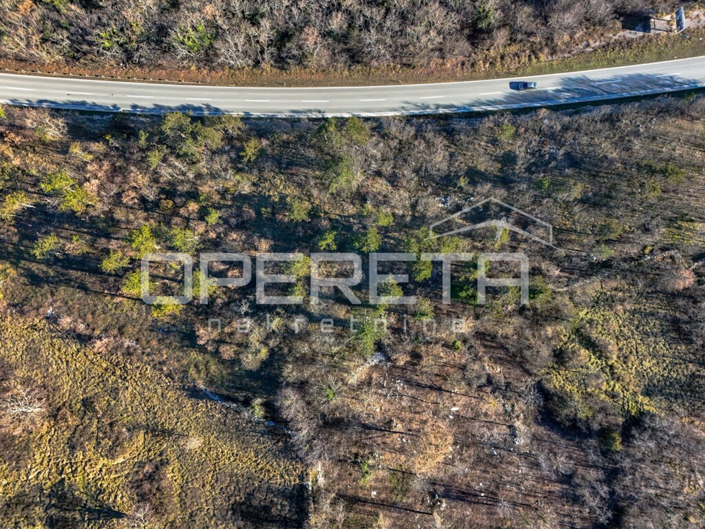 Image 6223448 - 5