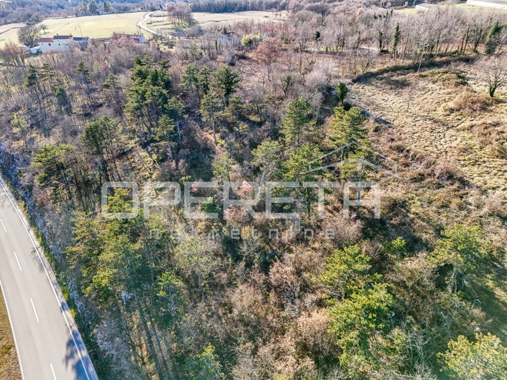 Image 6223448 - 3