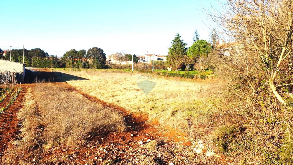 Image 6223512 - 5
