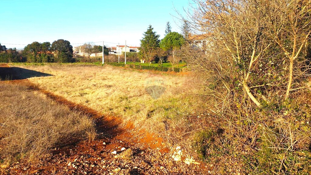 Image 6223512 - 4