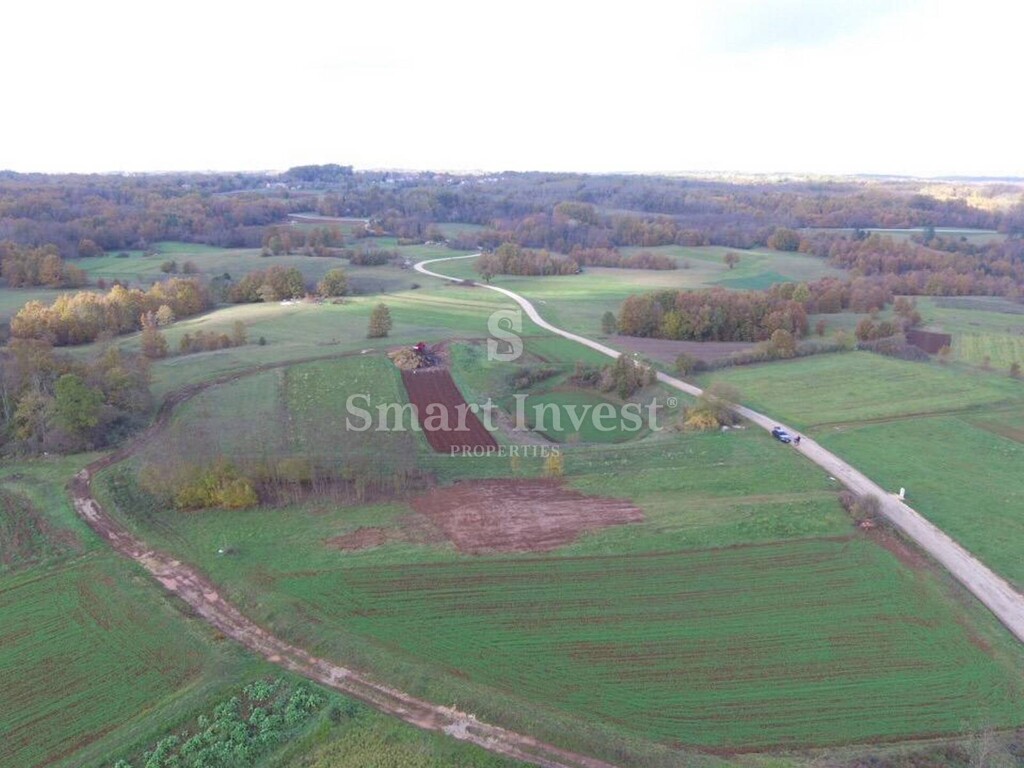 Image 6223561 - 6