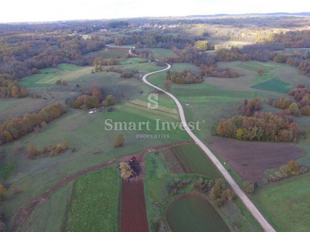 Image 6223561 - 2
