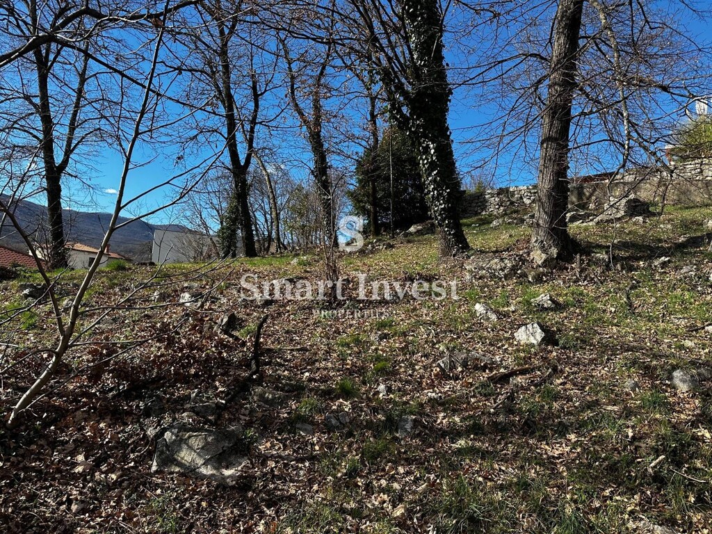 Image 6223565 - 6