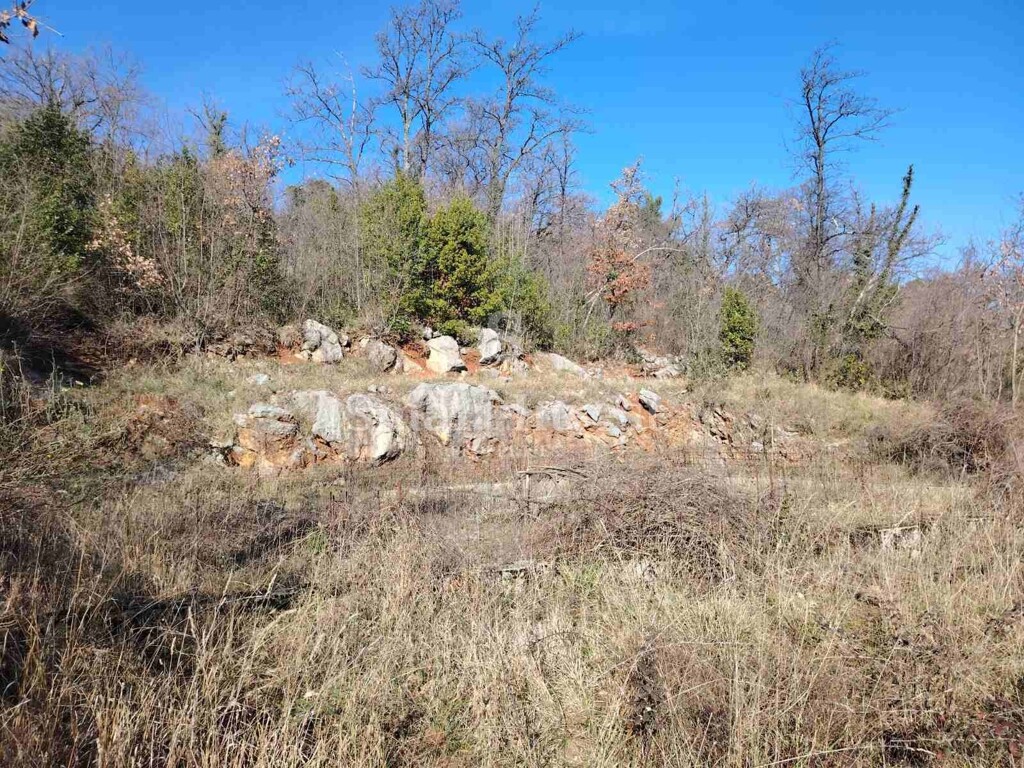 Image 6223583 - 4