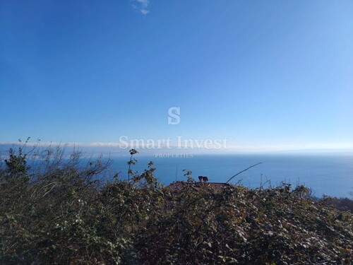 Thumbnail 6223583 - 6