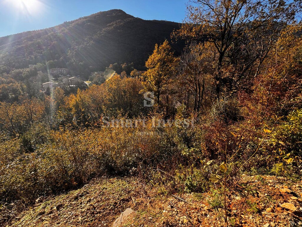 Image 6223636 - 10