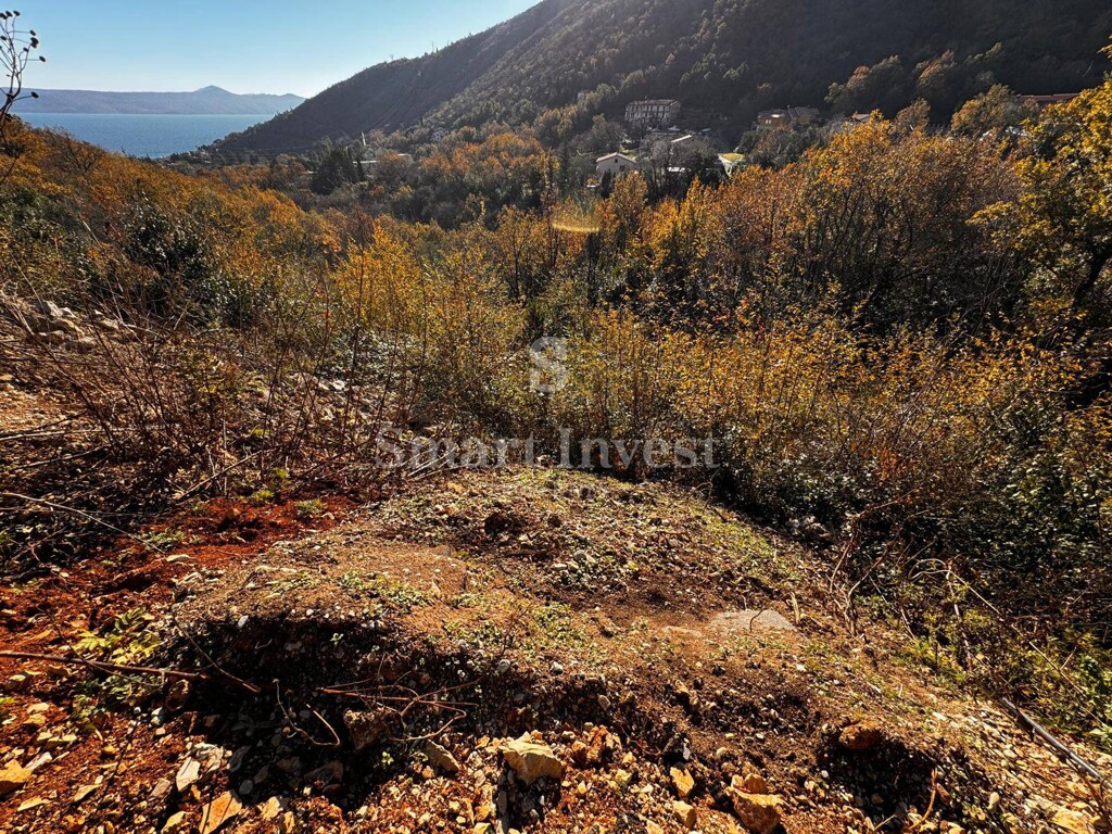 Image 6223637 - 13