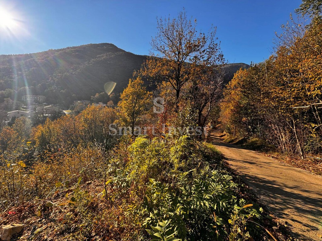 Image 6223637 - 12