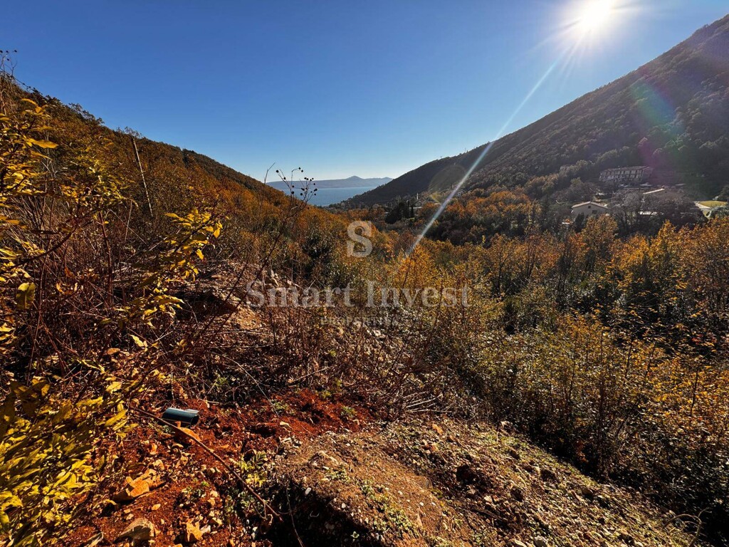 Image 6223637 - 10
