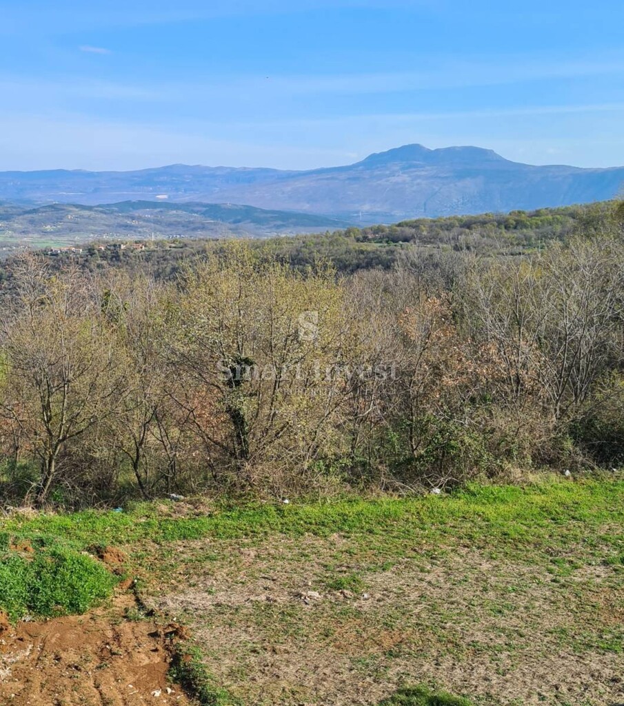 Image 6223643 - 1