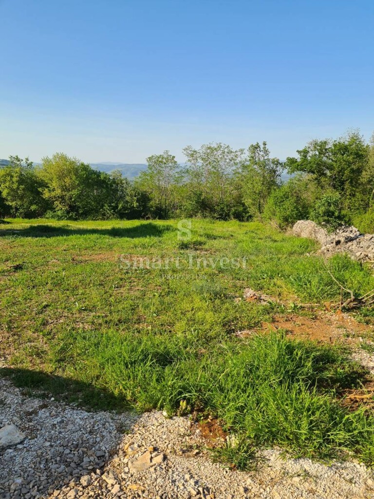 Image 6223643 - 2