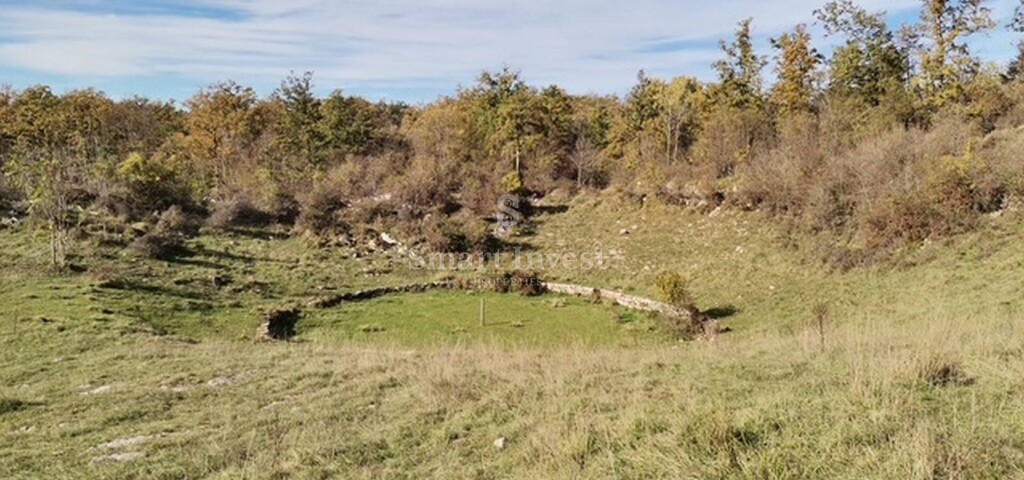 Image 6223652 - 2