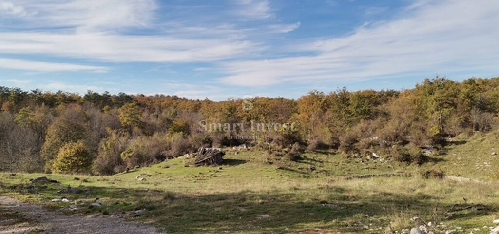 Image 6223652 - 1