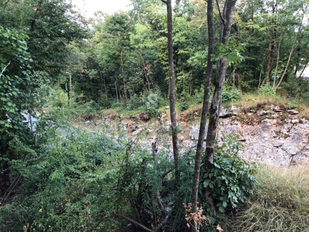 Image 6223686 - 12