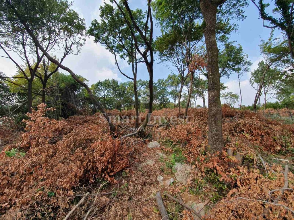 Image 6223700 - 10