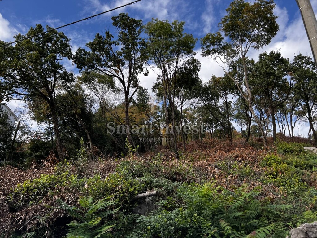 Image 6223700 - 8