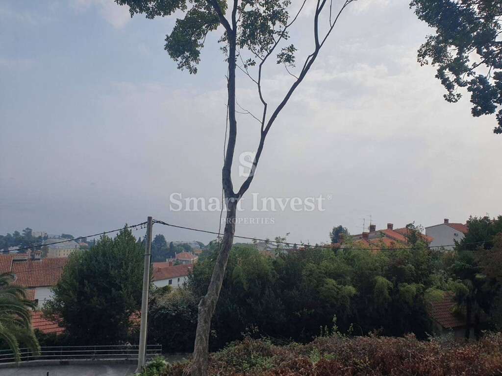 Image 6223700 - 11
