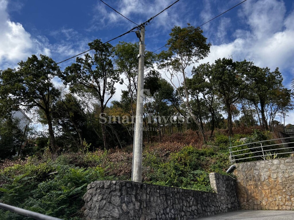 Image 6223708 - 9