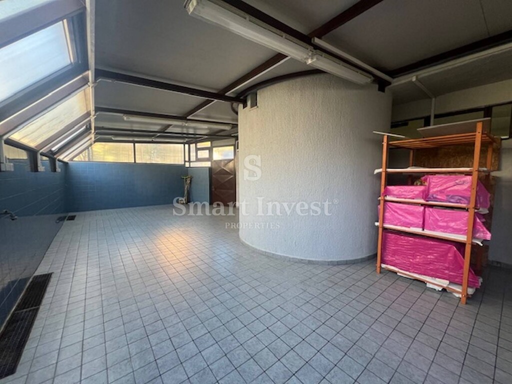 Image 6223735 - 13