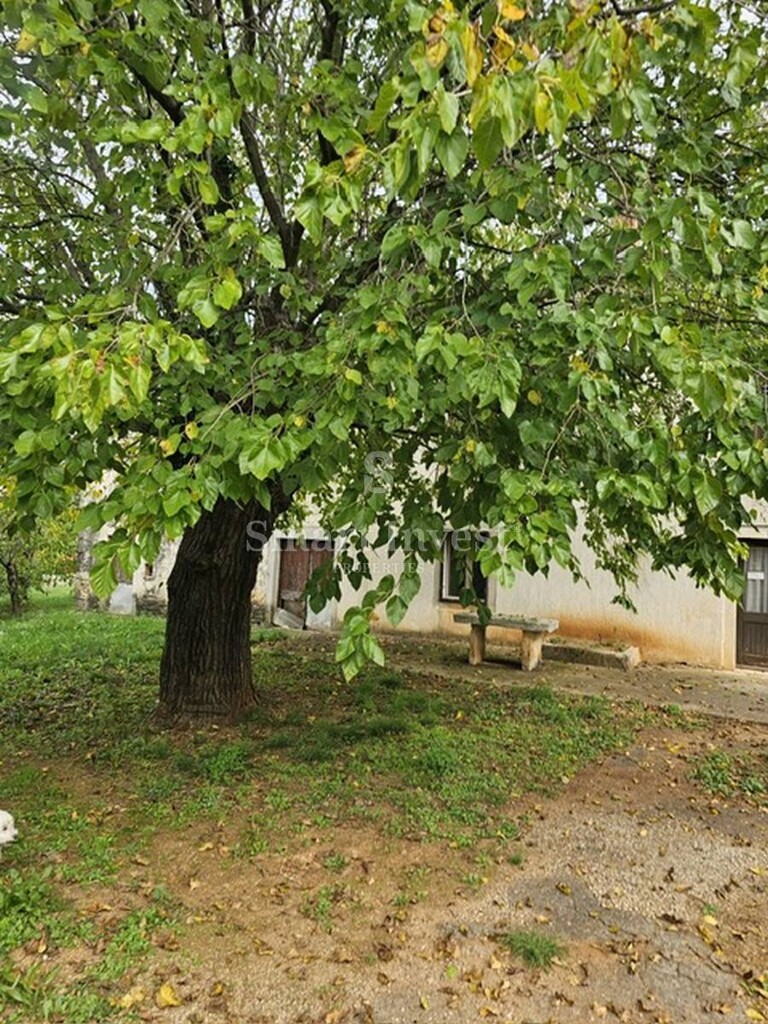 Image 6223743 - 5