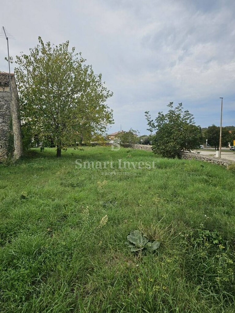 Image 6223743 - 6