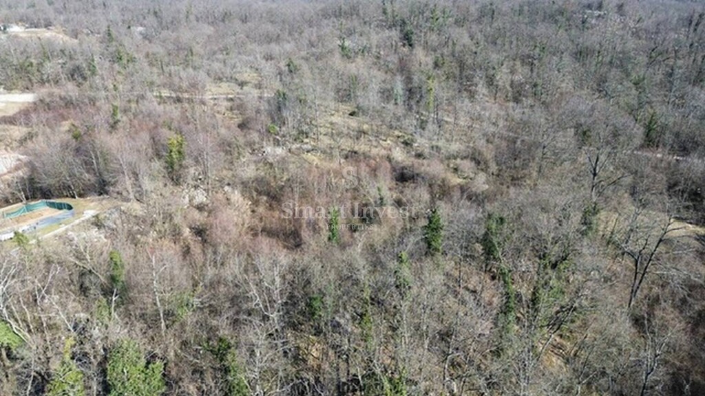 Image 6223786 - 6
