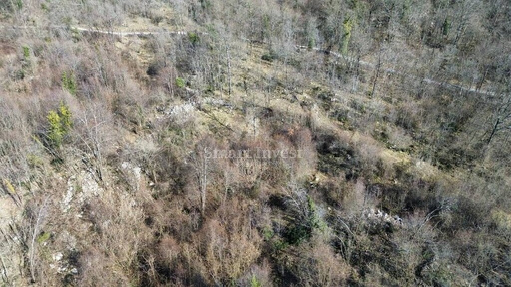 Image 6223786 - 7