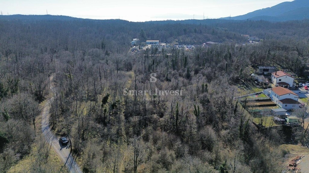 Image 6223786 - 4