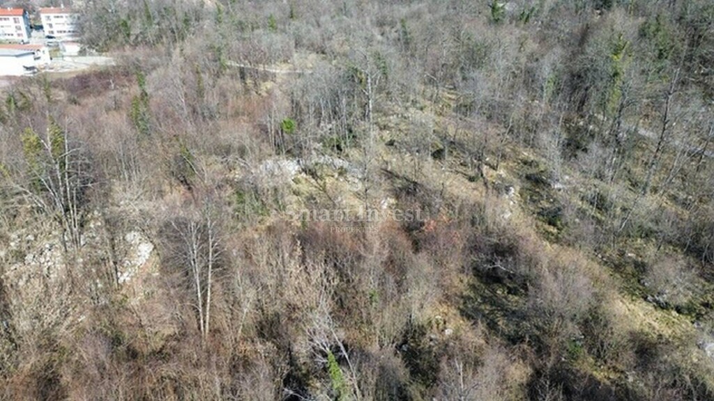 Image 6223786 - 8
